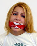 Stuffed cleave-gag